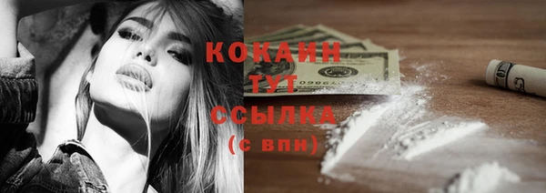 шишки Новокубанск