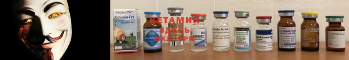 шишки Новокубанск