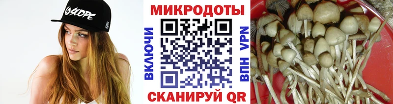 Галлюциногенные грибы Cubensis закладка Невельск